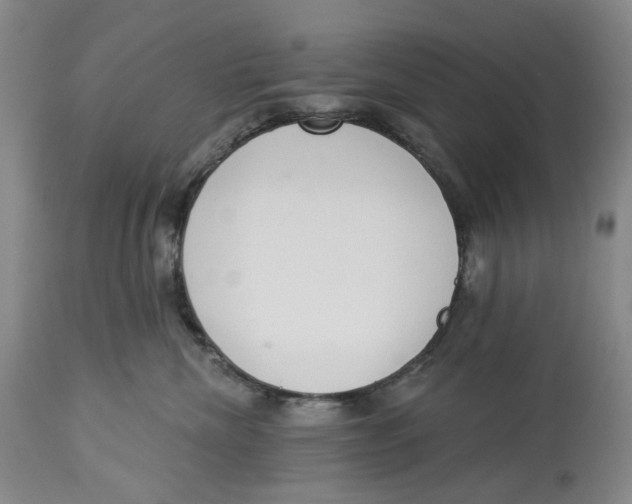 X0000114030476200910231903