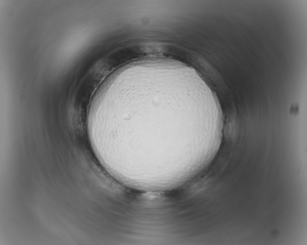 X0000114030477200910231903