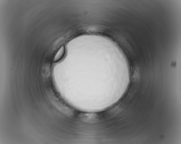 X0000114030478200910231903