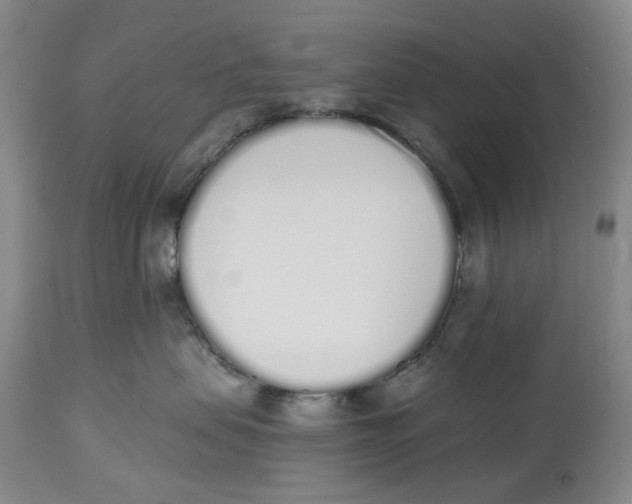 X0000114030479200910231903