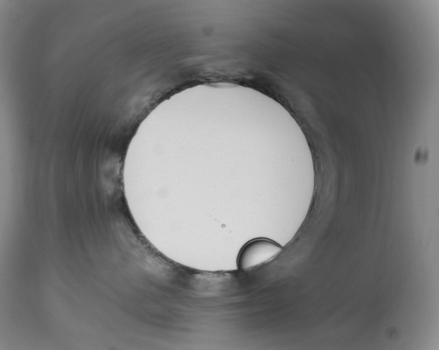 X0000114030480200910231903