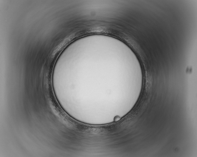 X0000114030482200910231902