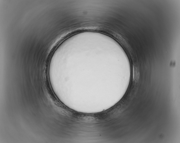 X0000114030483200910231902