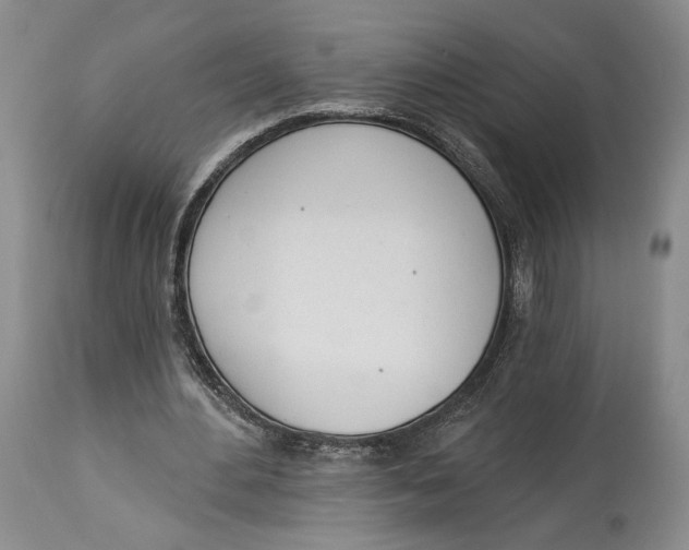 X0000114030484200910231902