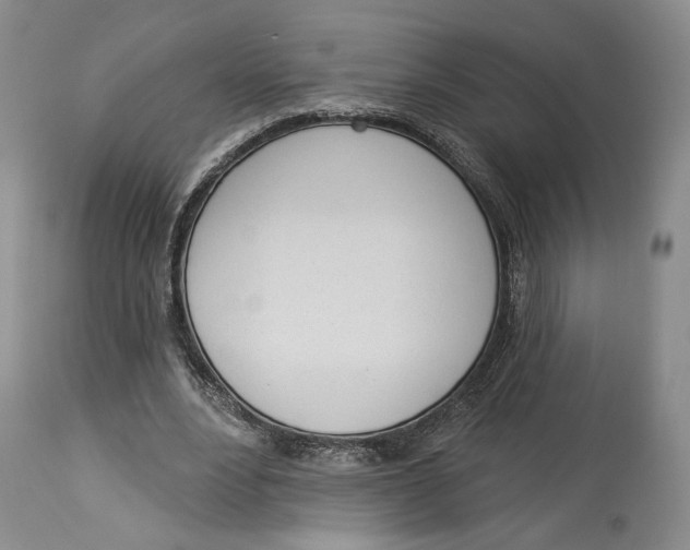 X0000114030488200910231902