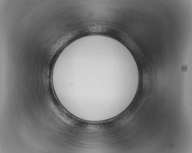 X0000114030490200910231902