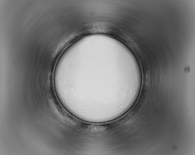 X0000114030491200910231902