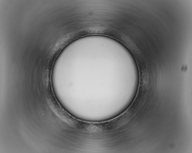 X0000114030494200910231902