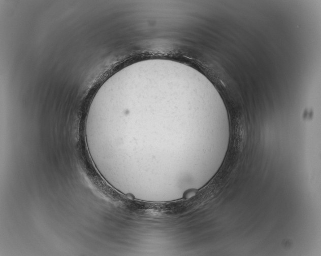 X0000114030496200910231902