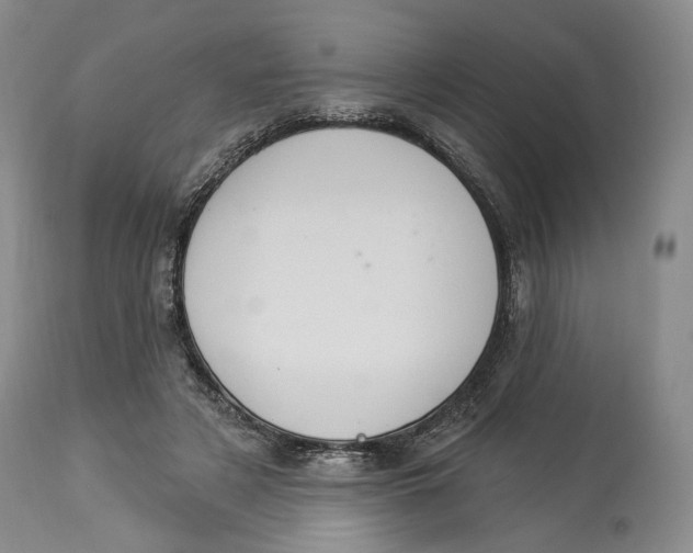 X0000114030497200910231902