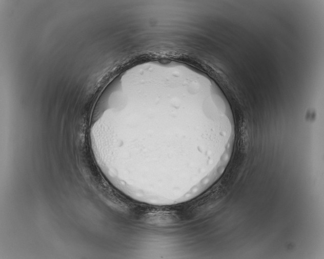 X0000114030499200910231902