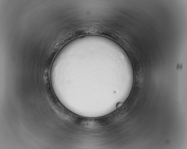 X0000114030503200910231902