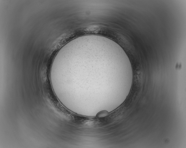 X0000114030504200910231902