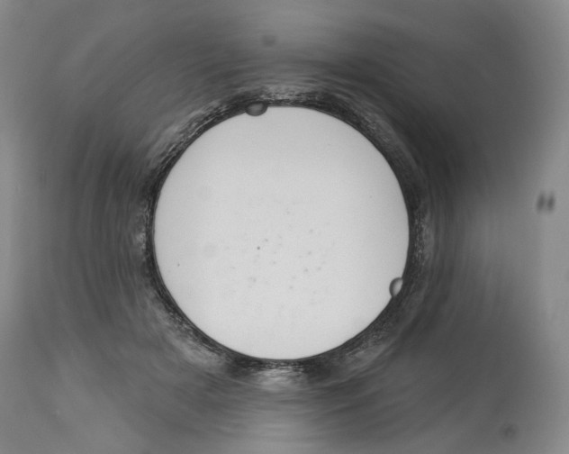 X0000114030505200910231902