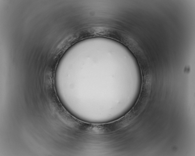 X0000114030506200910231902