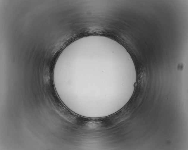 X0000114030508200910231902