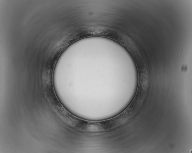 X0000114030510200910231902