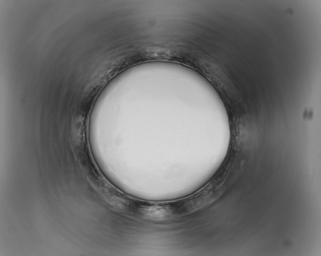 X0000114030511200910231902