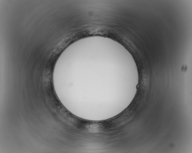 X0000114030513200910231902