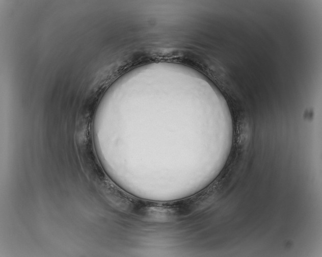 X0000114030515200910231902