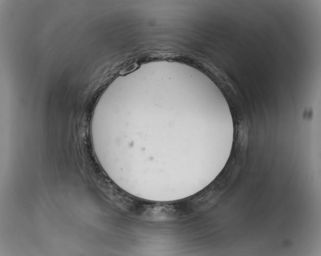 X0000114030517200910231902