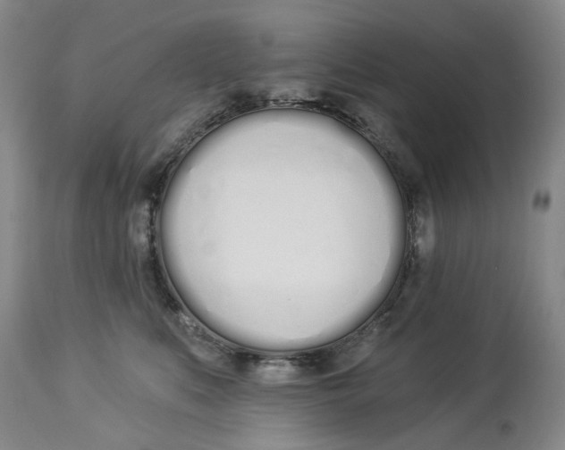 X0000114030519200910231902