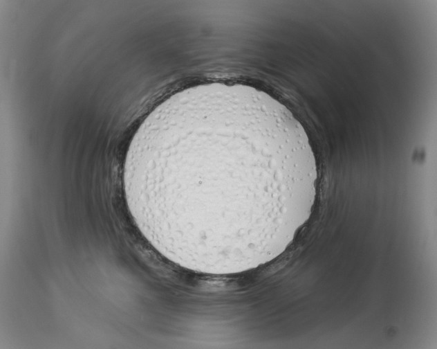 X0000114030521200910231902