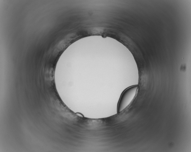 X0000114030525200910231902