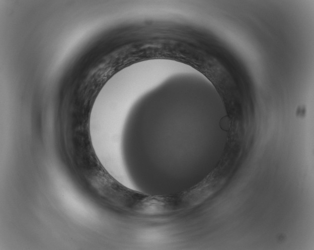 X0000114030526200910231902