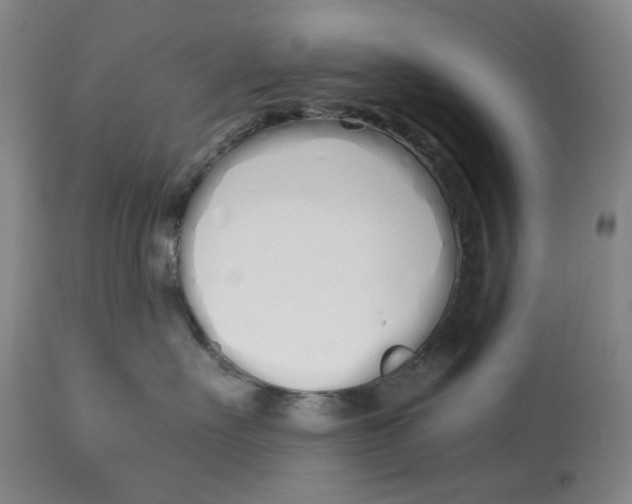 X0000114030527200910231902