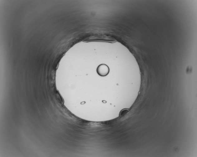 X0000114030528200910231902