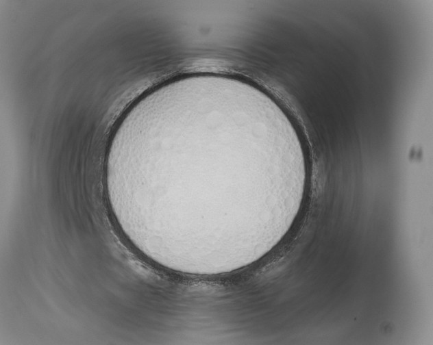 X0000114030529200910231901