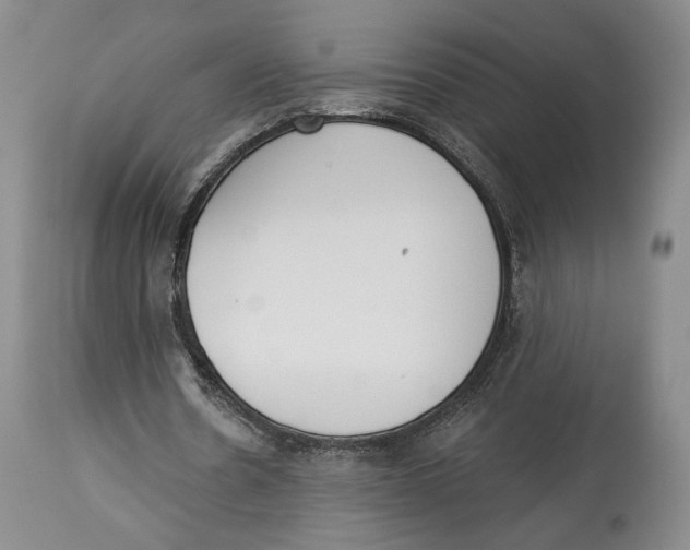 X0000114030530200910231901