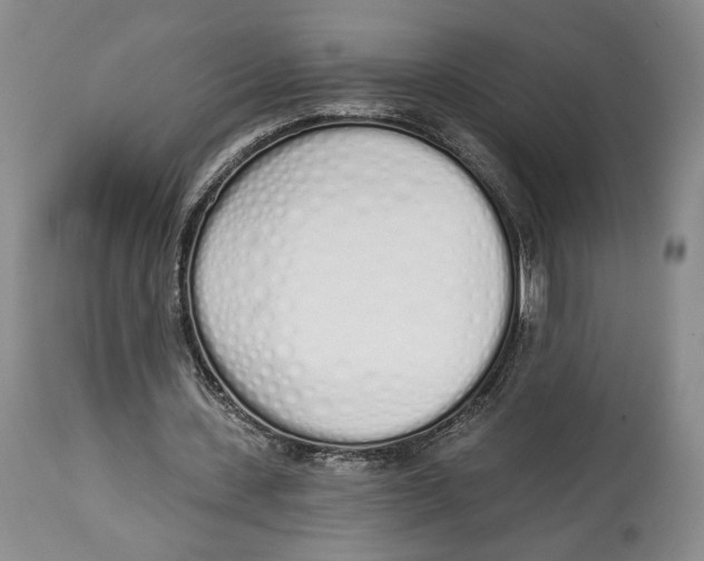 X0000114030531200910231901