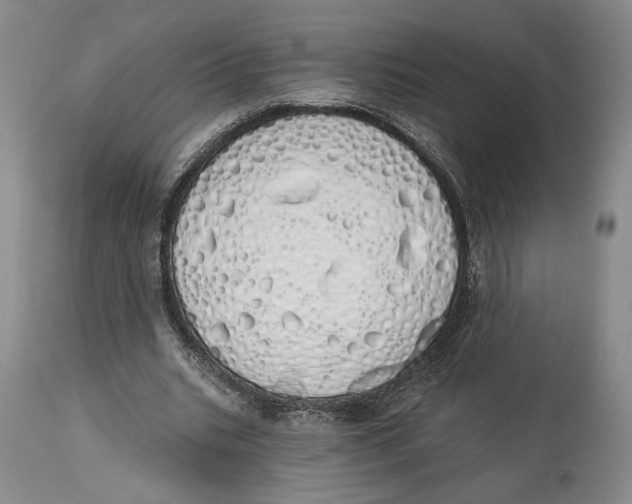 X0000114030535200910231901