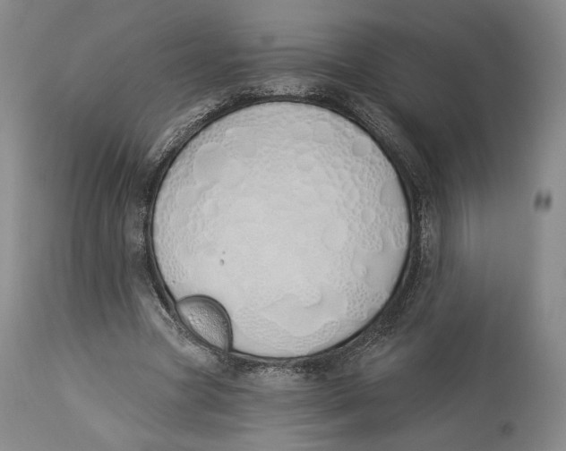 X0000114030537200910231901