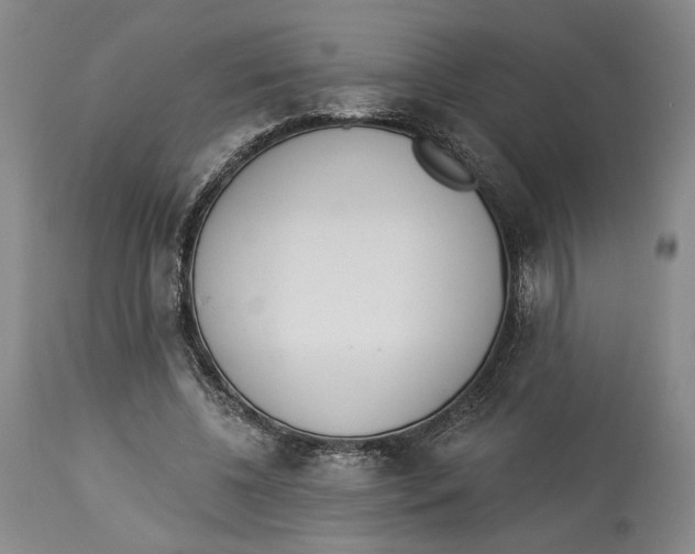 X0000114030540200910231901