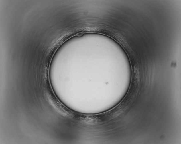 X0000114030542200910231901