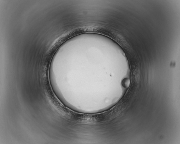 X0000114030543200910231901