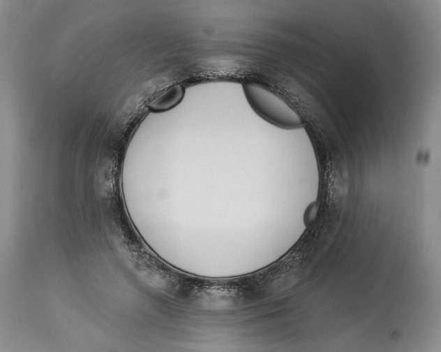 X0000114030546200910231901