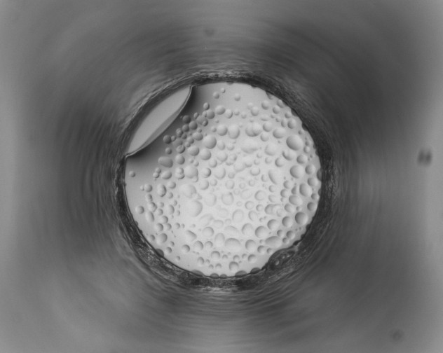 X0000114030548200910231901