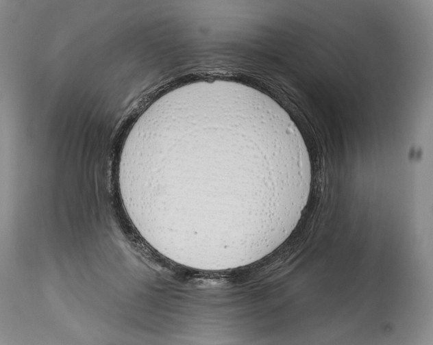 X0000114030552200910231901