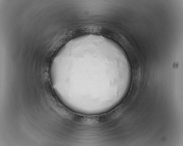 X0000114030553200910231901