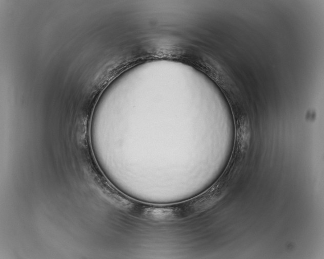 X0000114030554200910231901