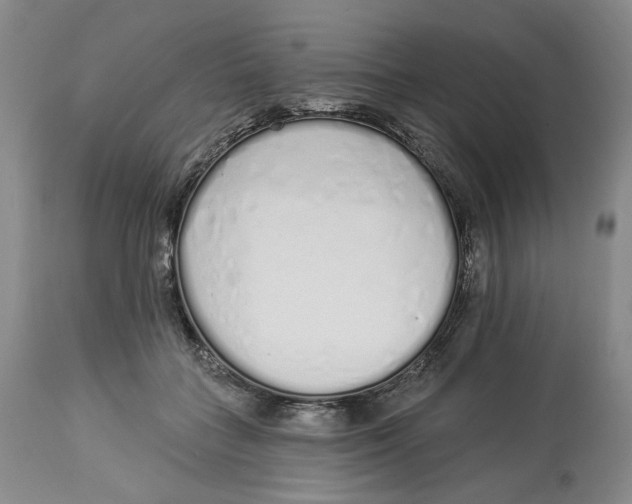 X0000114030555200910231901