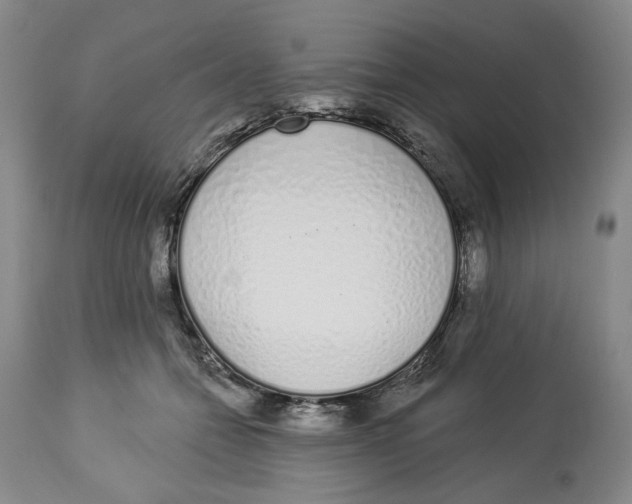 X0000114030558200910231901