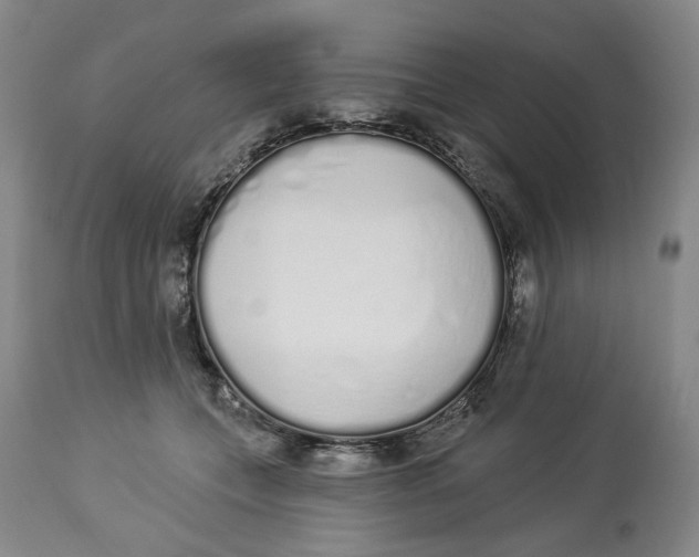 X0000114030559200910231901