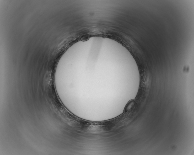 X0000114030560200910231901