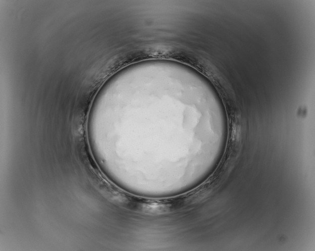 X0000114030561200910231901