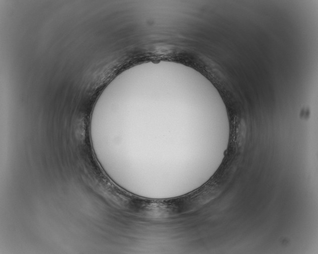 X0000114030562200910231901